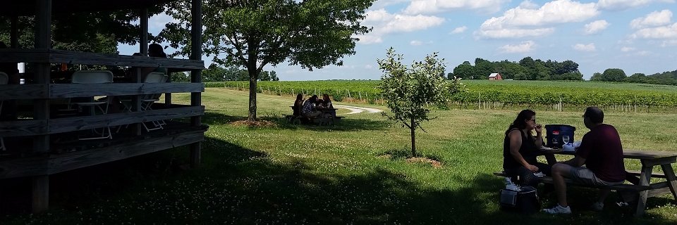NAYLORWINE's profile banner image