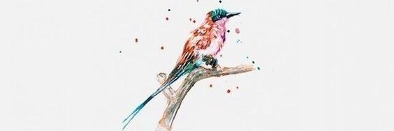 racheal_kora's profile banner image