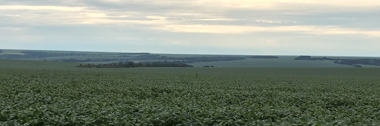 chipicarcamo's profile banner image