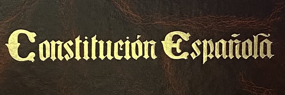 Von Ulrich banner