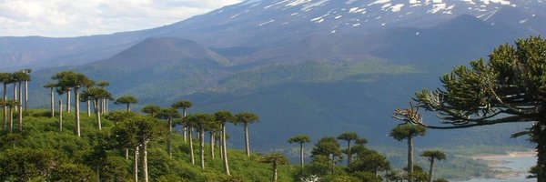 thorstencs Profile Banner