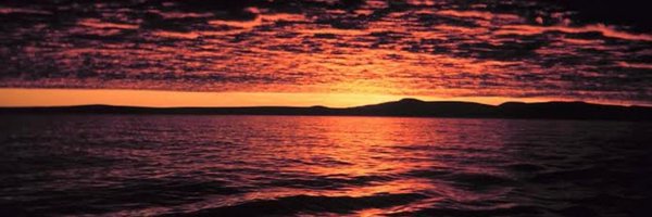 edloglo Profile Banner