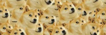 doge_struggle's profile banner image