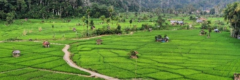 ™ 𝔐𝔞𝔰 𝔭𝔞𝔦𝔧𝔬 🎶 banner