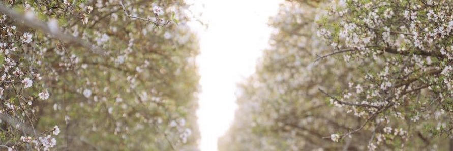 vivaladee03's profile banner image