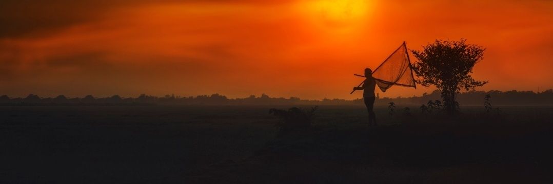 bbcop26's profile banner image
