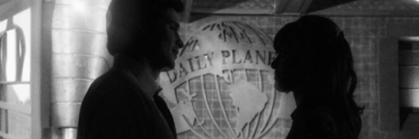 toretulip Profile Banner