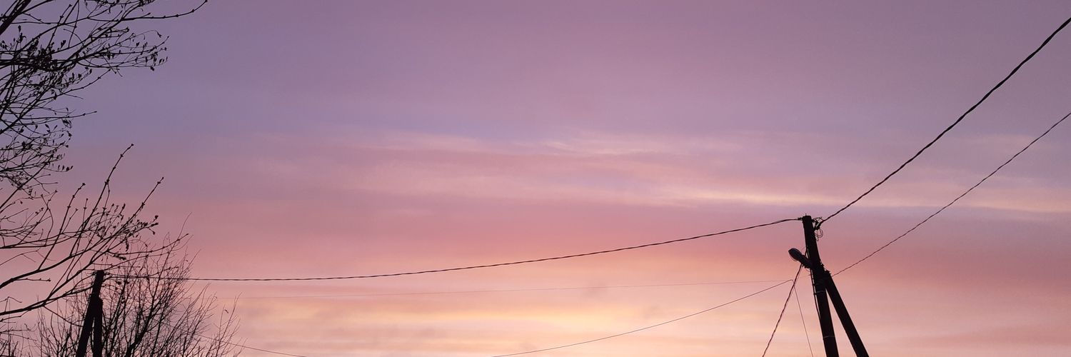 Junes_Bug's profile banner image