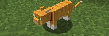 KitKat1278's profile banner image