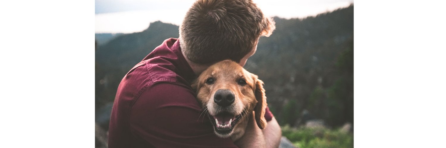 petkoo's banner
