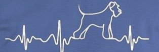 Vanexa007's profile banner image