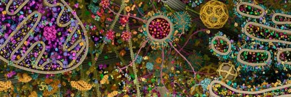 jinglejinglebe Profile Banner