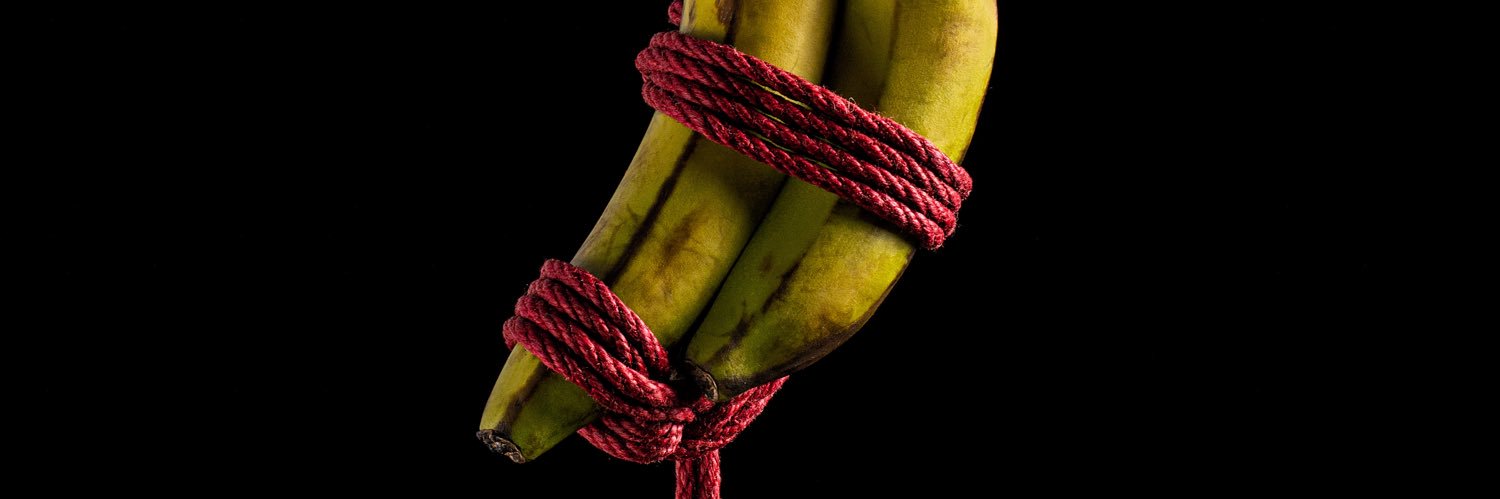 El Voyager 🧵🔥📸 banner