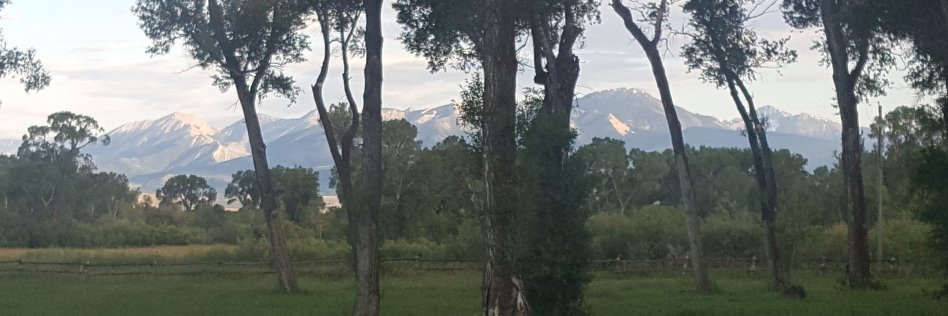 David Widener banner