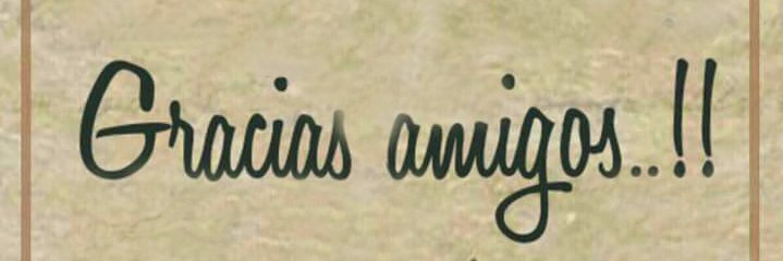 rosvig's profile banner image