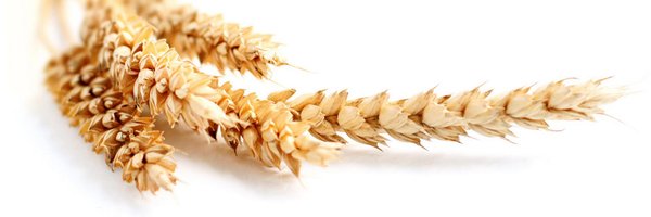 michaelalaux Profile Banner