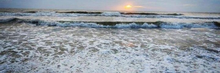 sarojpatel696's profile banner image