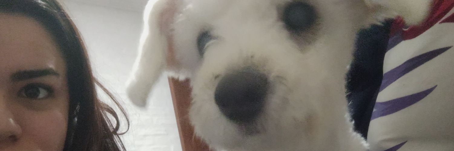 Arito_01's profile banner image