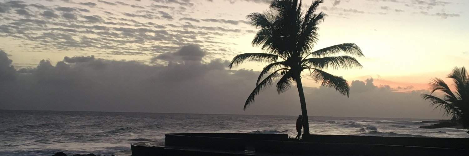 Audiovisability banner