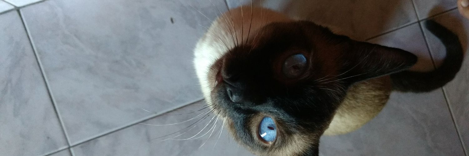 Antoobaque's profile banner image
