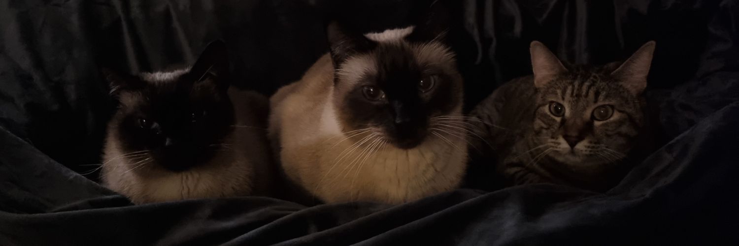 k̷o̷k̷o̷𝐋𝐎𝐑𝐄s̷ banner