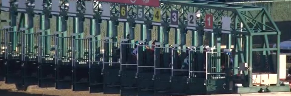 Solo Americanas banner
