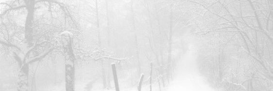Manes banner