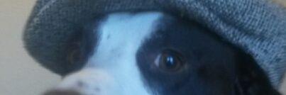 la_peste87's profile banner image