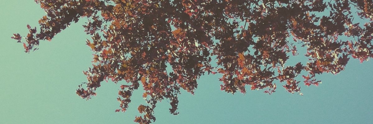 wearemorse's profile banner image