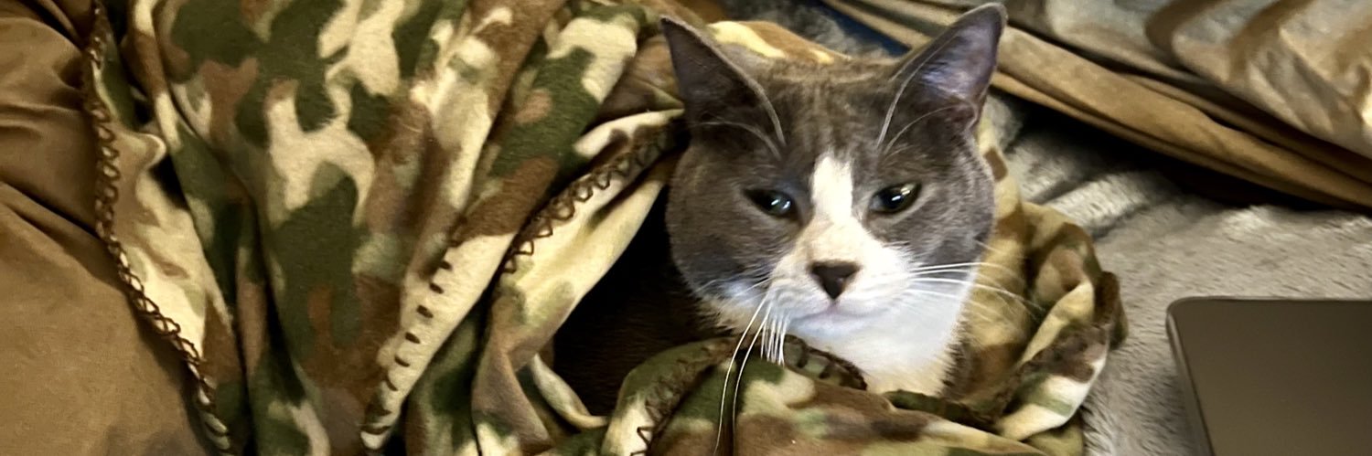 FlossMan @flossman.bsky.social 🇺🇦🇨🇦 banner