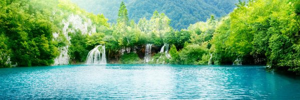 mohammad784 Profile Banner