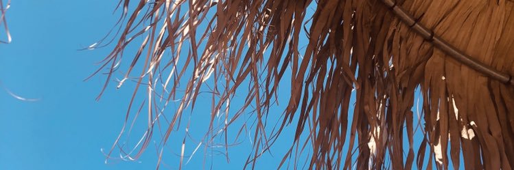 celia_etien's profile banner image