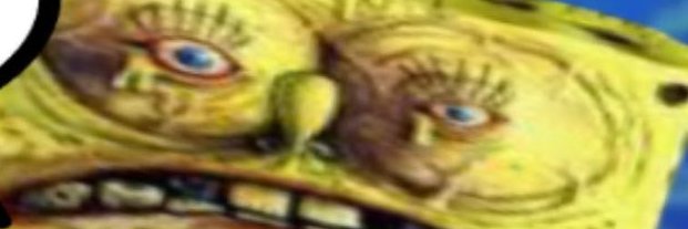 Tappo banner