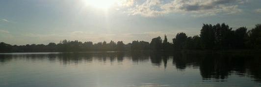 petricenko's profile banner image