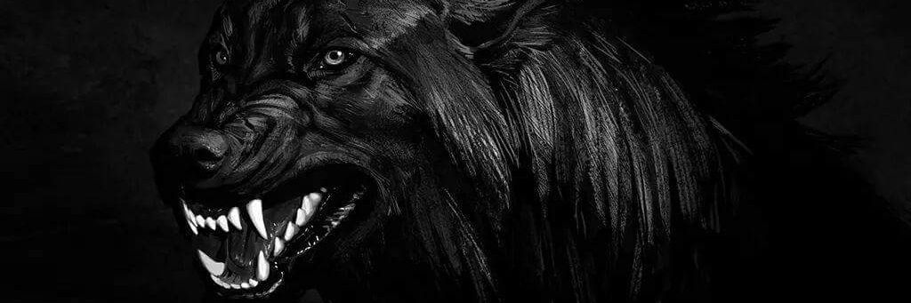 Jorgeros7's profile banner image