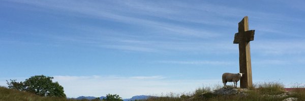 EnferEvidente Profile Banner