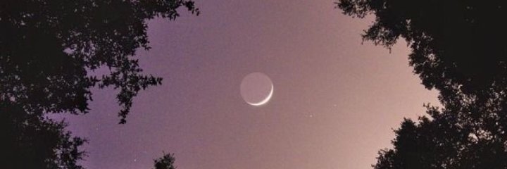 Alvinius28's profile banner image