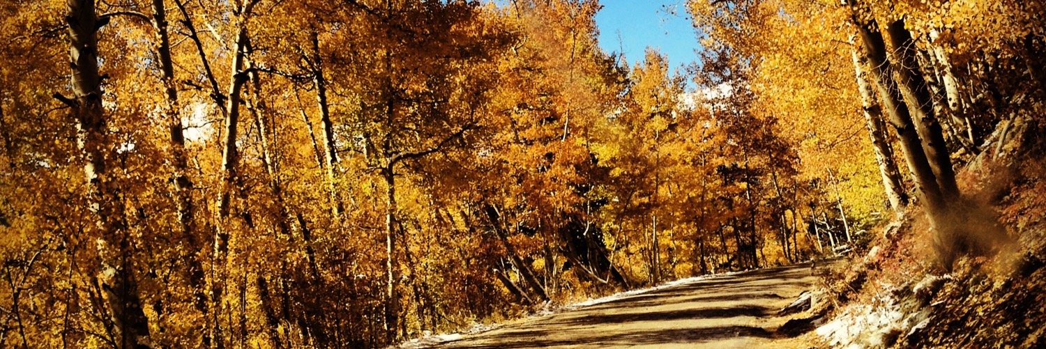 Kelsie Hower banner