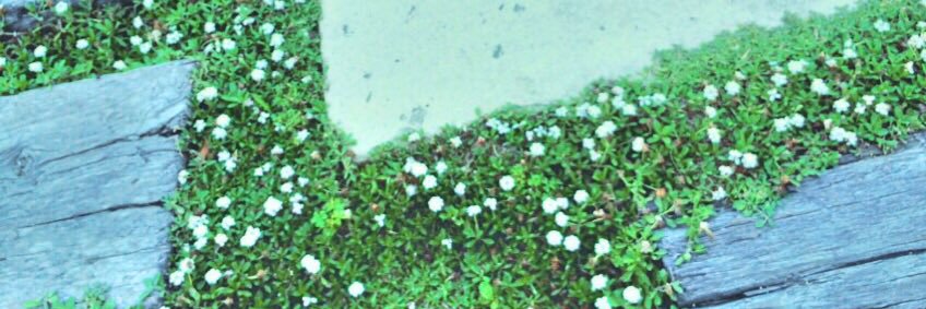 YlU5ok's profile banner image