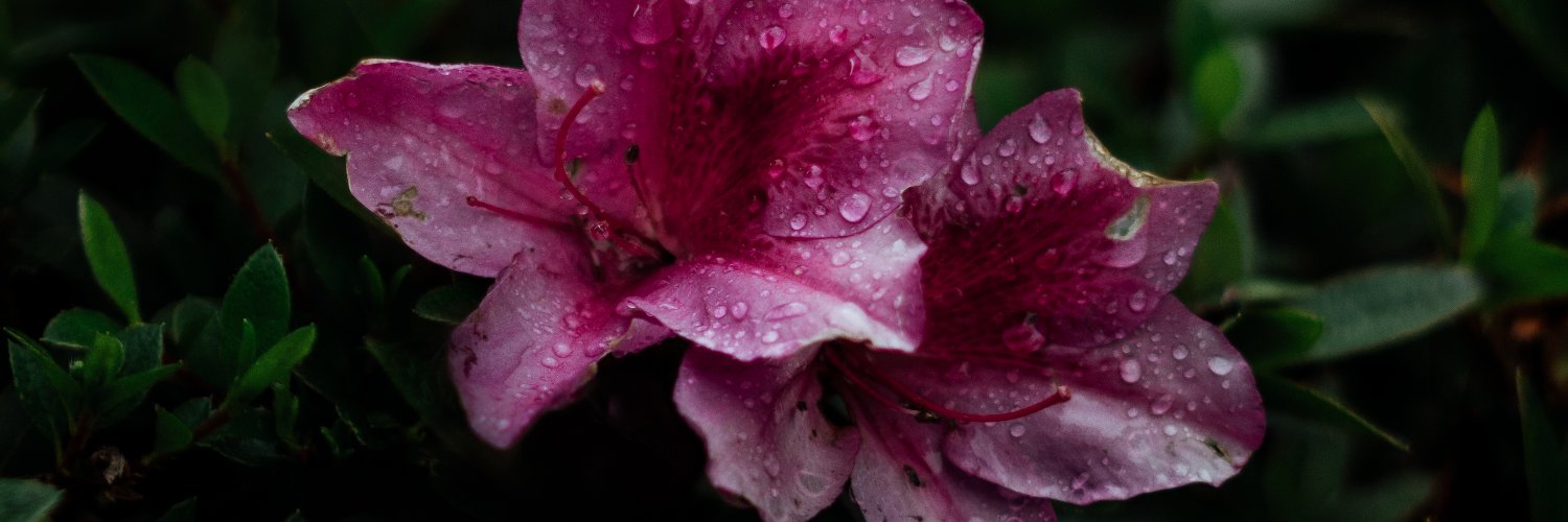 DimaVisuals's profile banner image