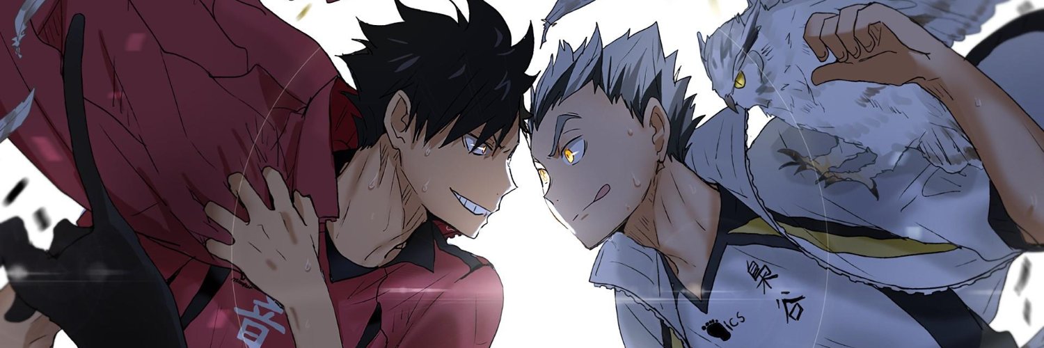 Ripleze banner