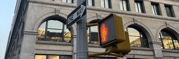 SillyRobin Profile Banner