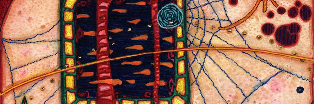 Paul Greer ✍️📓🎥🌎 banner