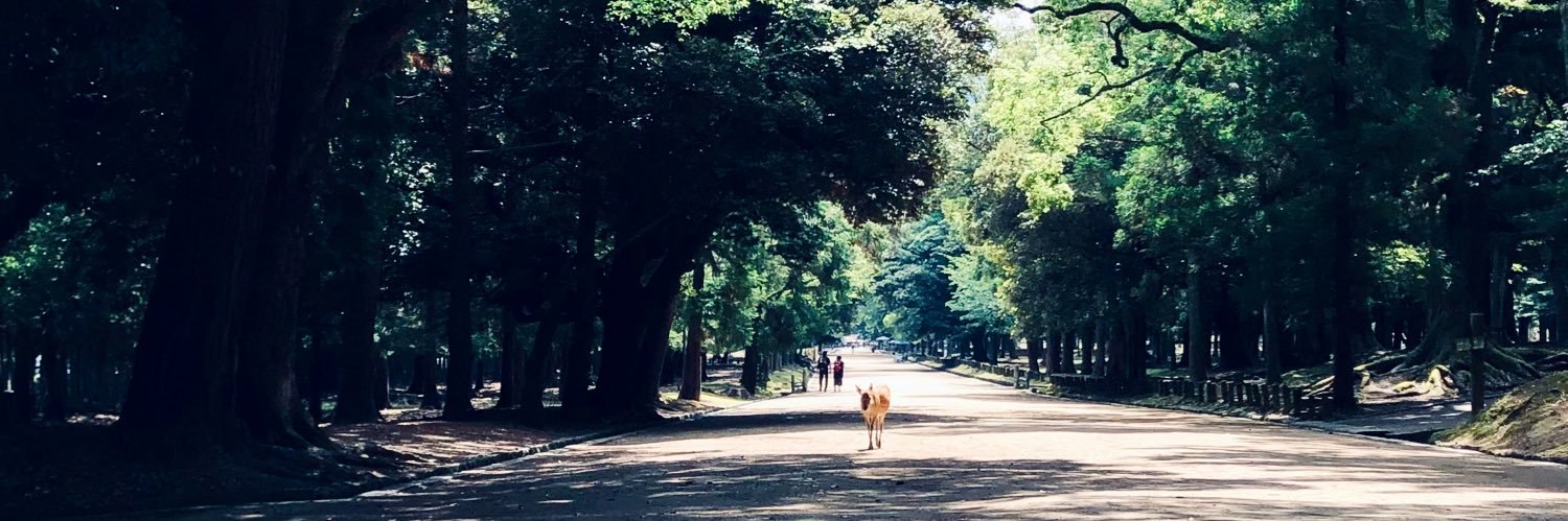 Yukiko Matsuoka banner