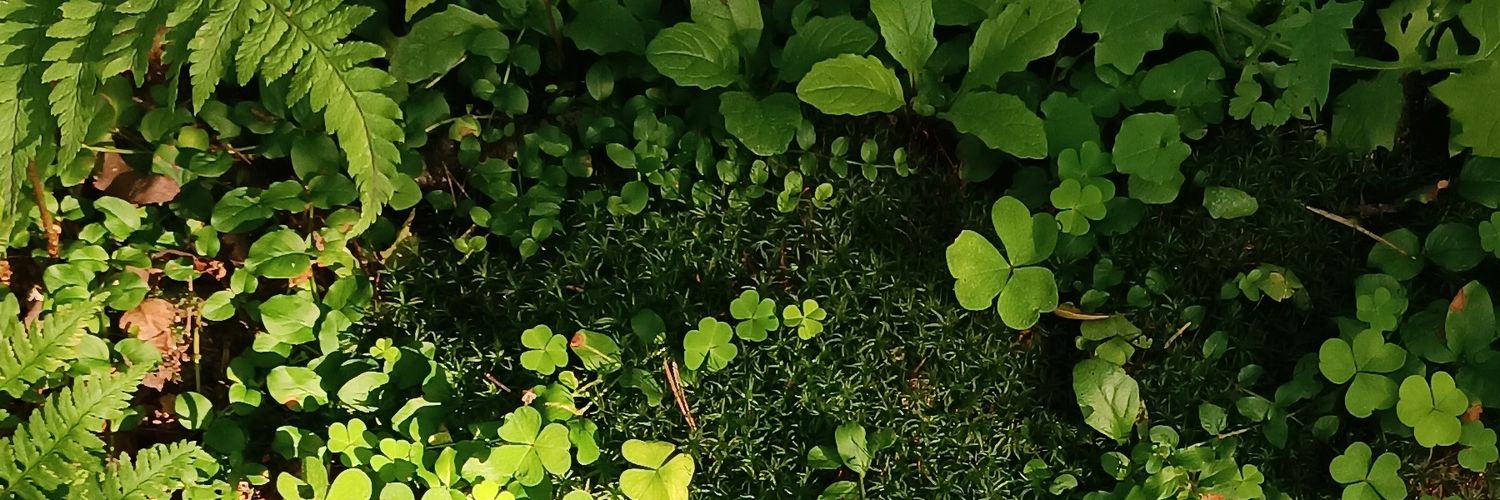 flovgovno's profile banner image