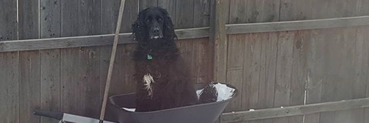 kkjorsvik's profile banner image