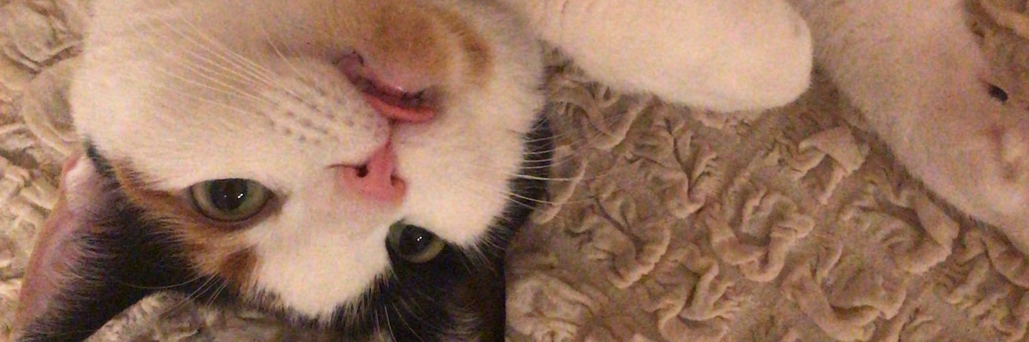 deren ✌️ banner