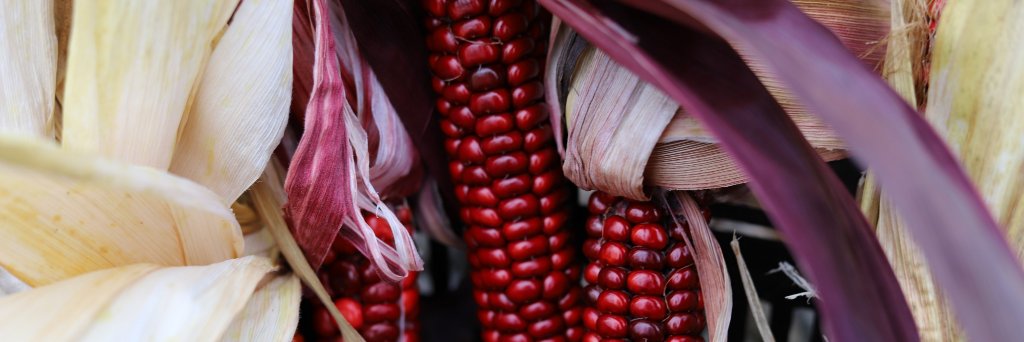 Cornell Small Farms Program banner
