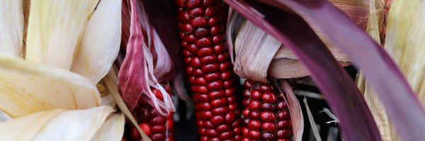 SmallFarmsProg Profile Banner