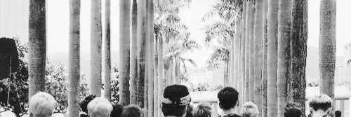 Trejeorange's profile banner image